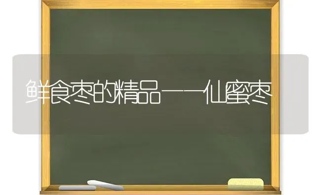 鲜食枣的精品——仙蜜枣 | 瓜果种植