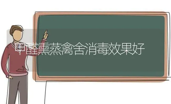 甲醛熏蒸禽舍消毒效果好 | 瓜果种植