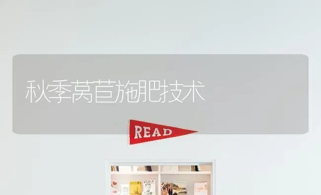 秋季莴苣施肥技术 | 瓜果种植