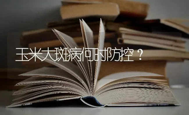 玉米大斑病何时防控？ | 粮油作物种植