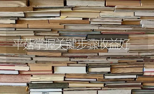 平菇掌握关键步骤收益好 | 食用菌种植