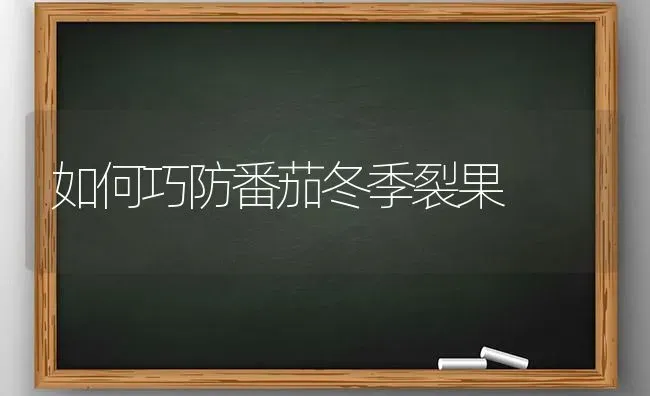 如何巧防番茄冬季裂果 | 瓜果种植
