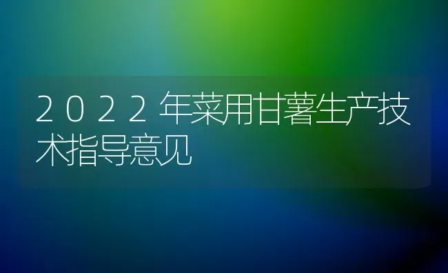 2022年菜用甘薯生产技术指导意见 | 蔬菜种植