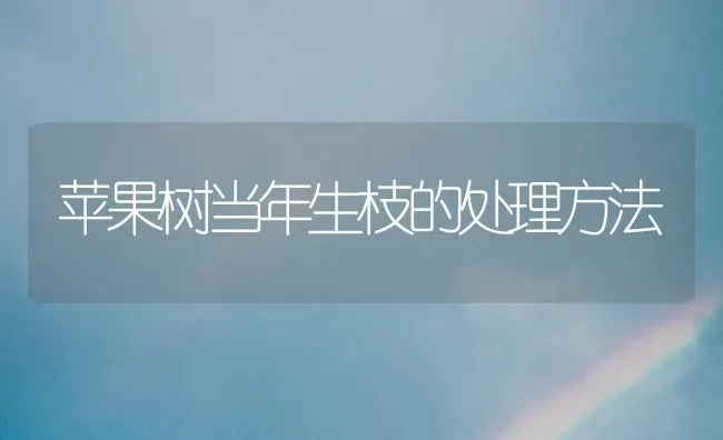 苹果树当年生枝的处理方法 | 瓜果种植