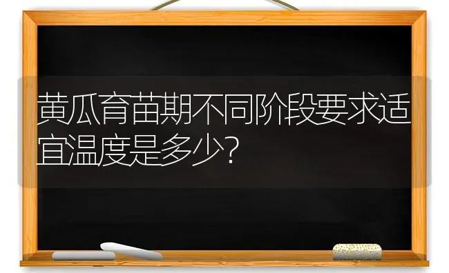 黄瓜育苗期不同阶段要求适宜温度是多少？ | 蔬菜种植