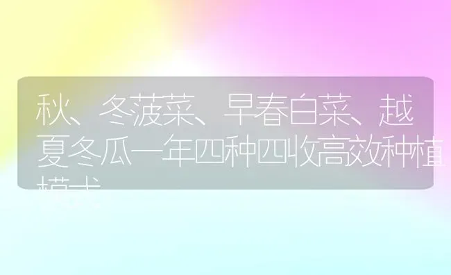 秋、冬菠菜、早春白菜、越夏冬瓜一年四种四收高效种植模式 | 植物种植百科