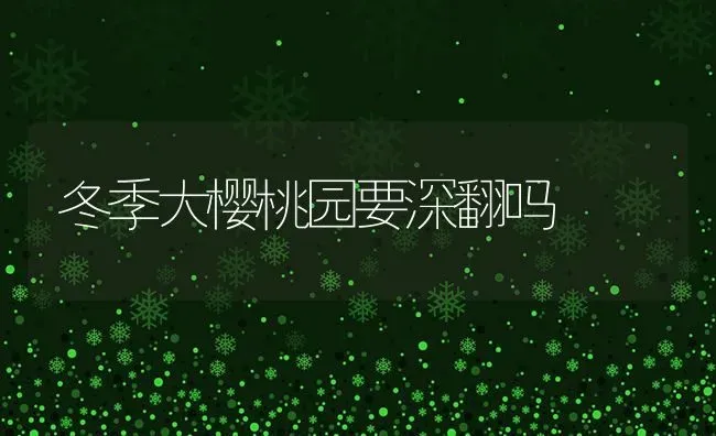 冬季大樱桃园要深翻吗 | 瓜果种植