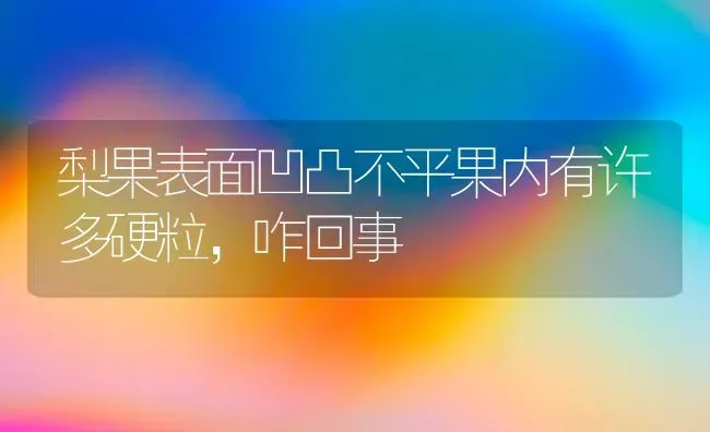 梨果表面凹凸不平果内有许多硬粒，咋回事 | 瓜果种植