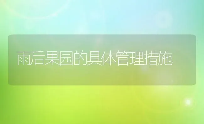 雨后果园的具体管理措施 | 瓜果种植