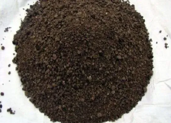 植物施肥|有机肥料有哪些种类 常用的有机肥可以分哪几种