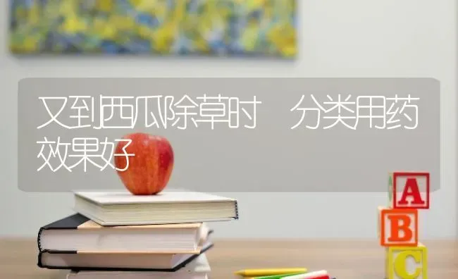 又到西瓜除草时 分类用药效果好 | 瓜果种植