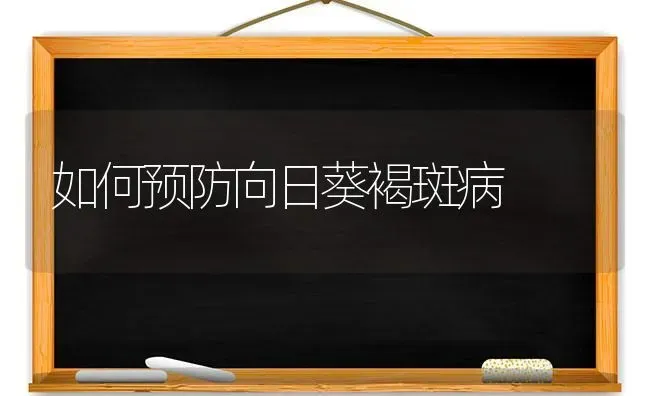 如何预防向日葵褐斑病 | 粮油作物种植
