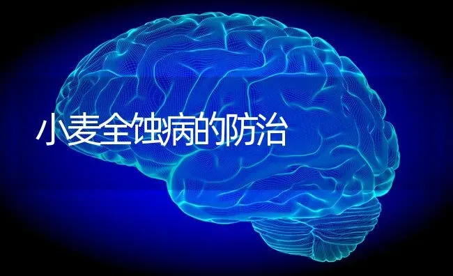 小麦全蚀病的防治 | 粮油作物种植