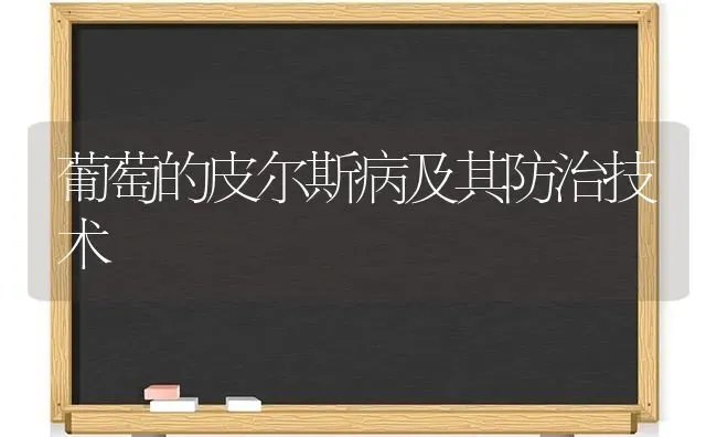 葡萄的皮尔斯病及其防治技术 | 瓜果种植