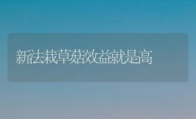新法栽草菇效益就是高 | 食用菌种植