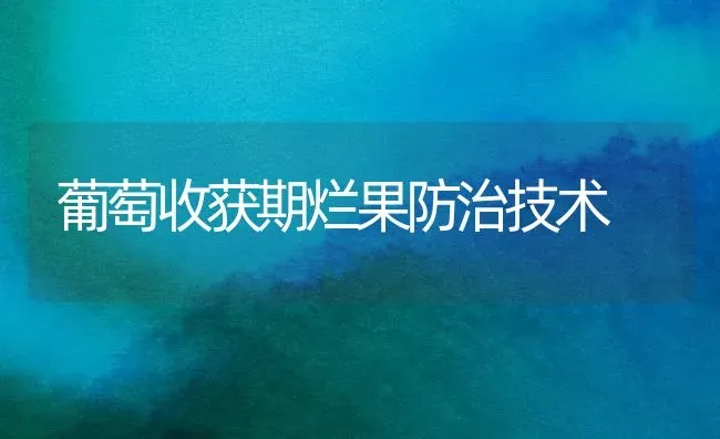 葡萄收获期烂果防治技术 | 瓜果种植