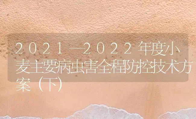 2021—2022年度小麦主要病虫害全程防控技术方案（下） | 粮油作物种植