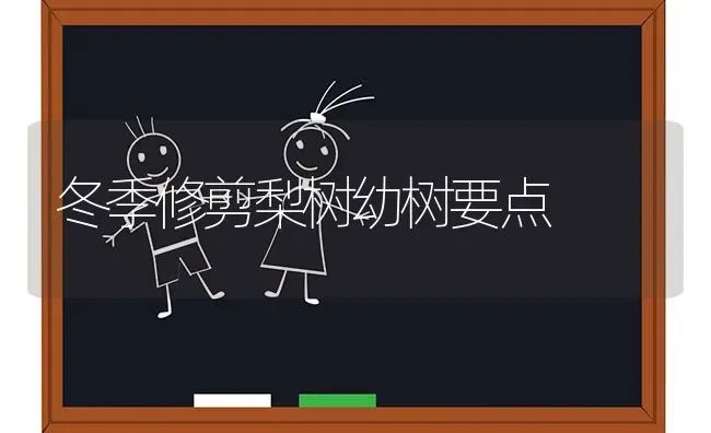 冬季修剪梨树幼树要点 | 瓜果种植