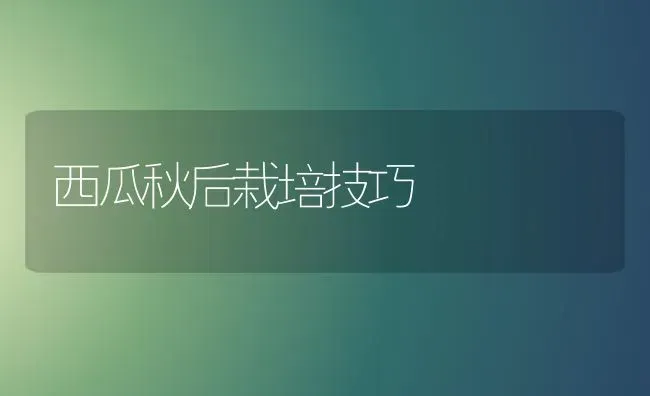 西瓜秋后栽培技巧 | 瓜果种植