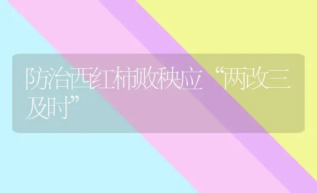 防治西红柿败秧应“两改三及时” | 蔬菜种植