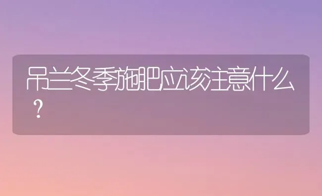 吊兰冬季施肥应该注意什么？ | 种植肥料施肥