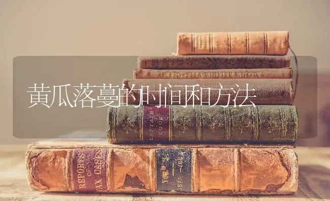 黄瓜落蔓的时间和方法 | 蔬菜种植