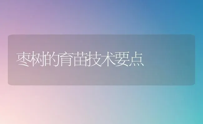 枣树的育苗技术要点 | 瓜果种植