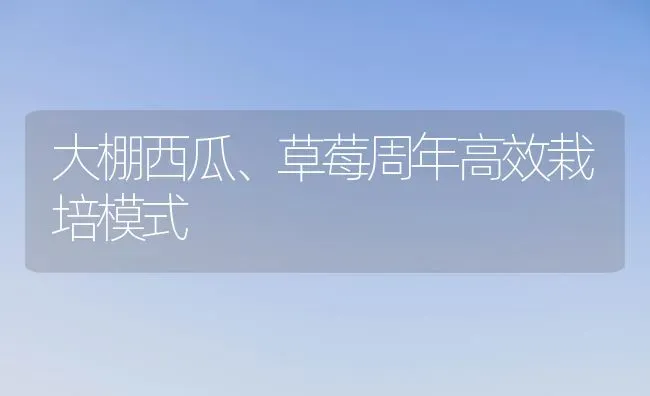 大棚西瓜、草莓周年高效栽培模式 | 瓜果种植