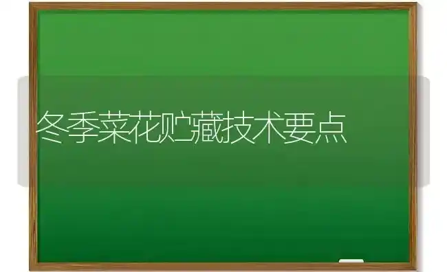 冬季菜花贮藏技术要点 | 蔬菜种植