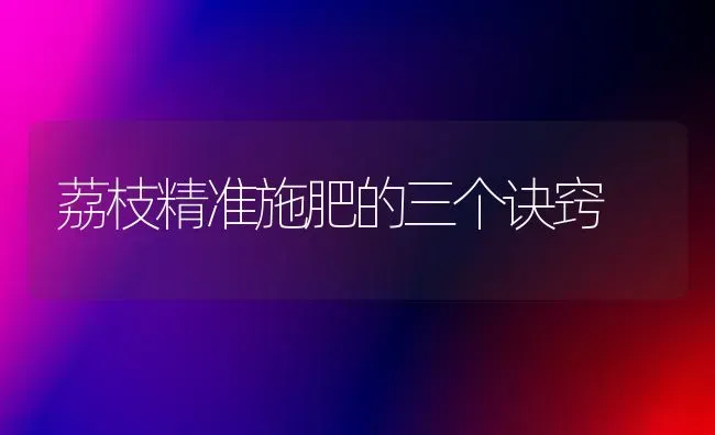 荔枝精准施肥的三个诀窍 | 种植肥料施肥