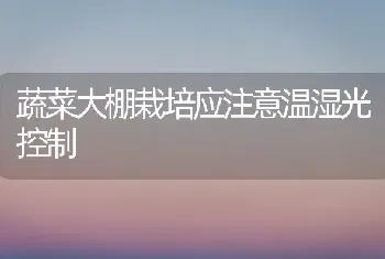 蔬菜大棚栽培应注意温湿光控制