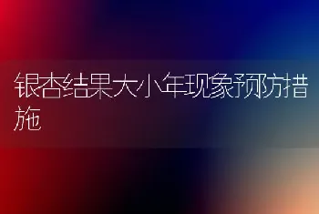 银杏结果大小年现象预防措施