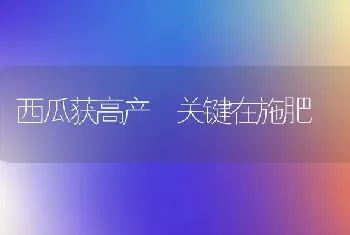 西瓜获高产 关键在施肥