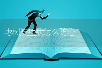 枣树炭疽病怎么防治