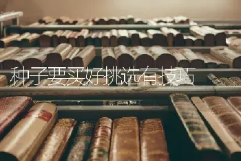 小菜蛾的综合防治措施