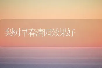 梨树早春清园效果好