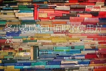 冬小麦喷施叶面肥的使用方法