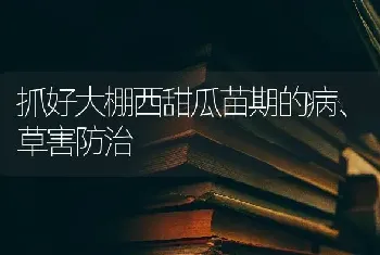 抓好大棚西甜瓜苗期的病、草害防治