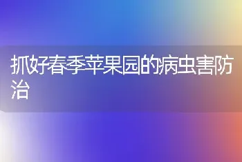 抓好春季苹果园的病虫害防治