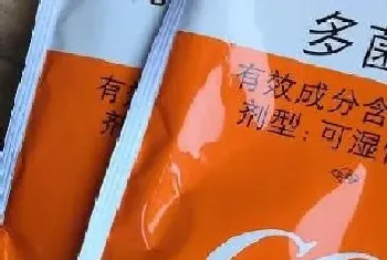 多菌灵可以浇枇杷树吗?