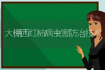 大棚西红柿病虫害防治技术