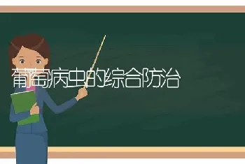 葡萄病虫的综合防治