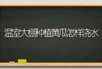 温室大棚种植黄瓜怎样浇水