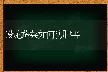 设施蔬菜如何防肥害