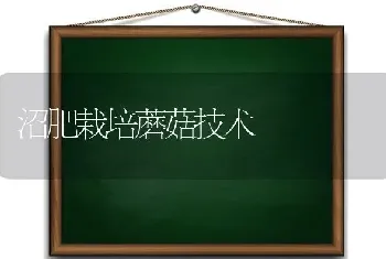 沼肥栽培蘑菇技术