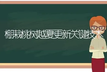 棚栽桃树越夏更新关键技术