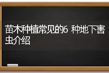 苗木种植常见的6种地下害虫介绍