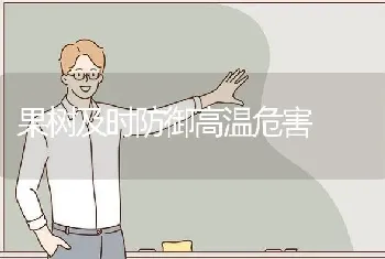 果树及时防御高温危害