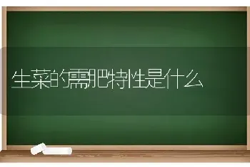 生菜的需肥特性是什么