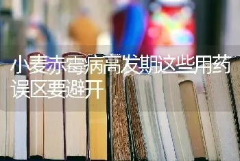 小麦赤霉病高发期这些用药误区要避开